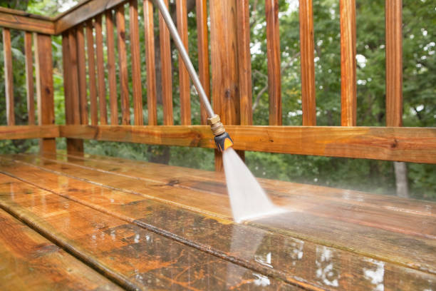 Best Animal Enclosure Cleaning  in Winter Beach, FL